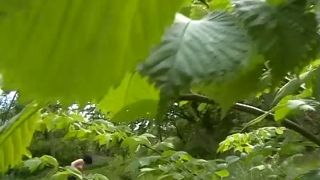 111608 720p