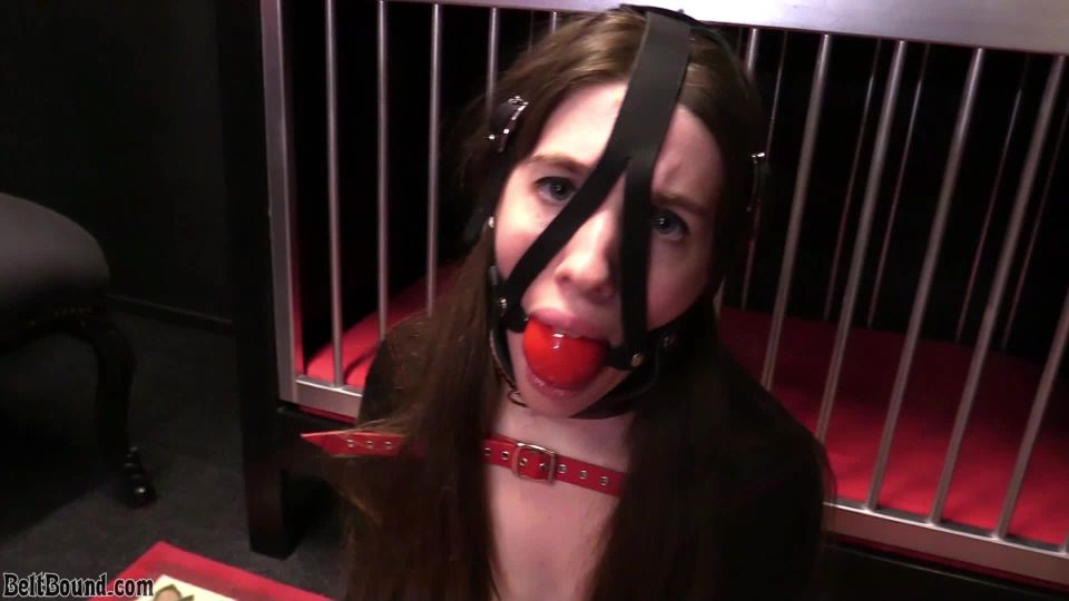 free online video 48 Ivy Red - cage training! - Belt Bound - bdsm - bdsm porn gay escorts bdsm top