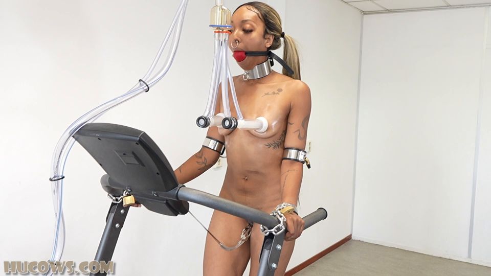 fetiche de las vacas HuCows – Espesor Niccy en el fetiche de la cinta de correr