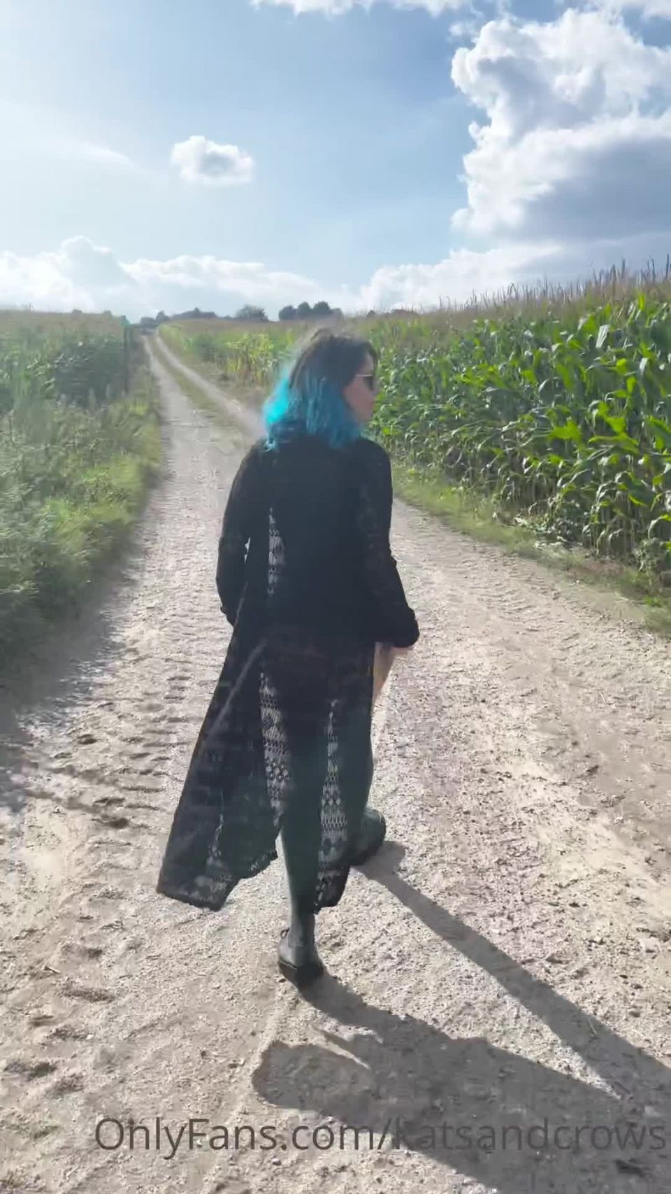 REBECCA CROW - katsandcrows () Katsandcrows - likes to make me chorny i dont know what it is about corn fields 22-09-2021