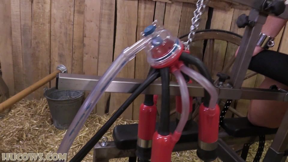 online clip 25 Lisa - Back to the barn | bdsm | bdsm porn bdsm cock video