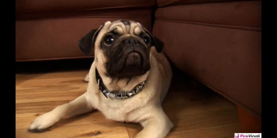 ParejasSeducenTeens Chloe Chanel