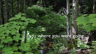 Lost in the Woods.