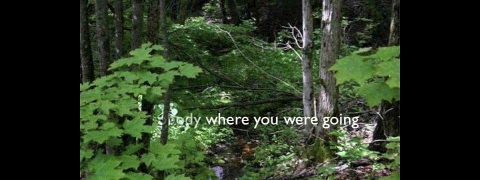 Lost in the Woods.