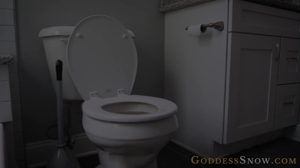 online adult clip 12 Goddess Alexandra Snow – Toilet Cleaner | domination | fetish porn ebony femdom facesitting