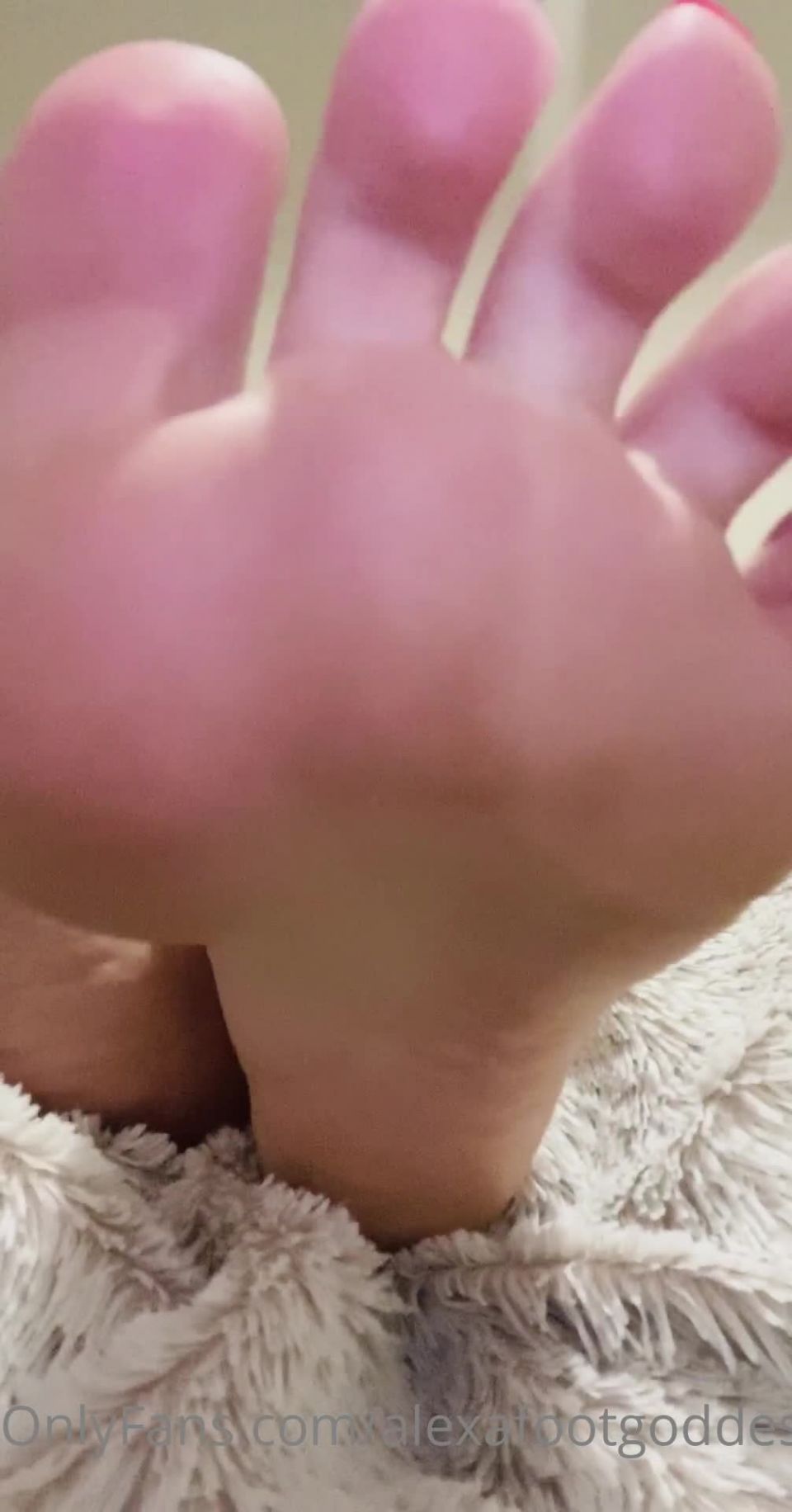 online porn video 25 mom feet fetish alexafootgoddess 07 06 2020 402239039 if only you could taste these, alexafootgoddess on feet porn