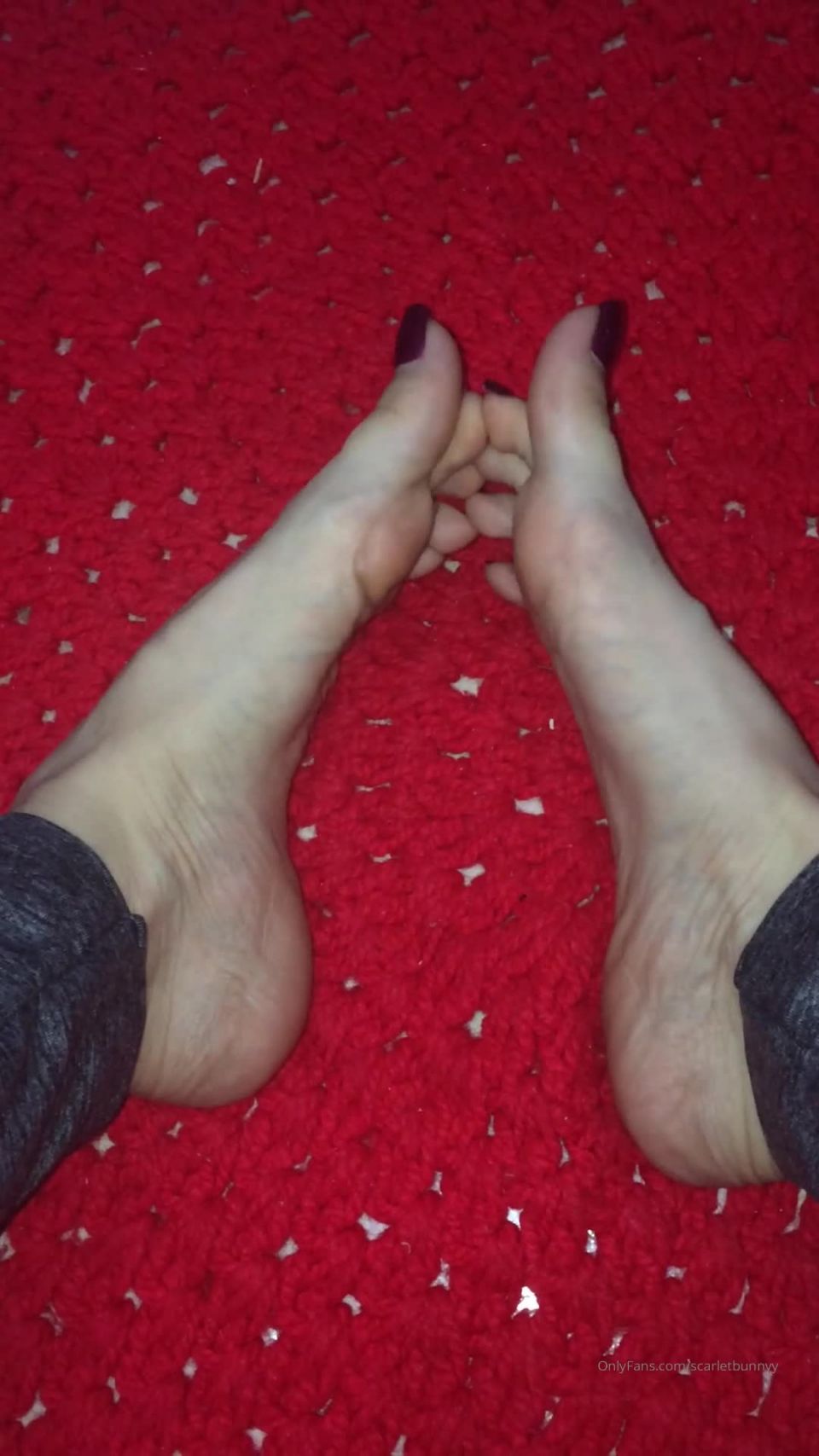 ScarletBunny () Scarletbunnyy - spreading feet foot scarletbunny 13-08-2020