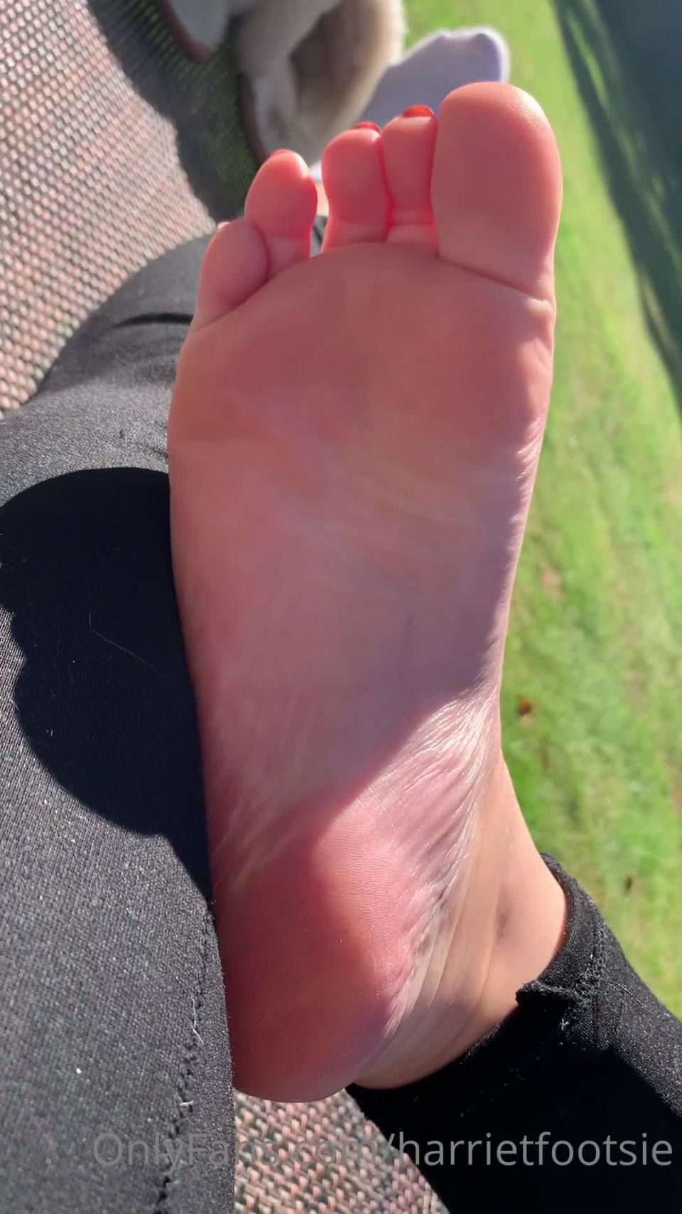 Onlyfans - Harriet King - harrietfootsie - harrietfootsieFinished work at pm so came outside to enjoy some sunshine although it was kind of windy - 20-08-2020