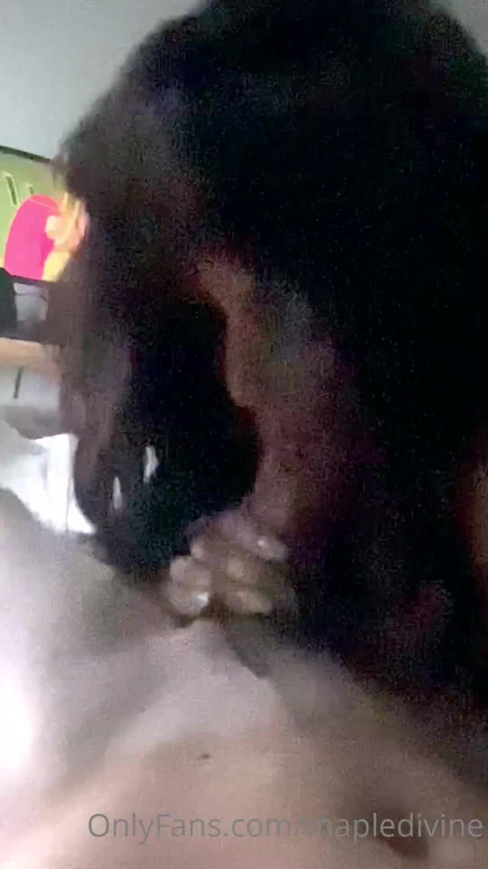 Maple Divine (mapledivine) New Blowjob POV Onlyfans (POV)