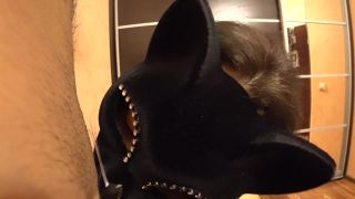 female_cat_loves_to_suck_dick_and_swallow_cum.