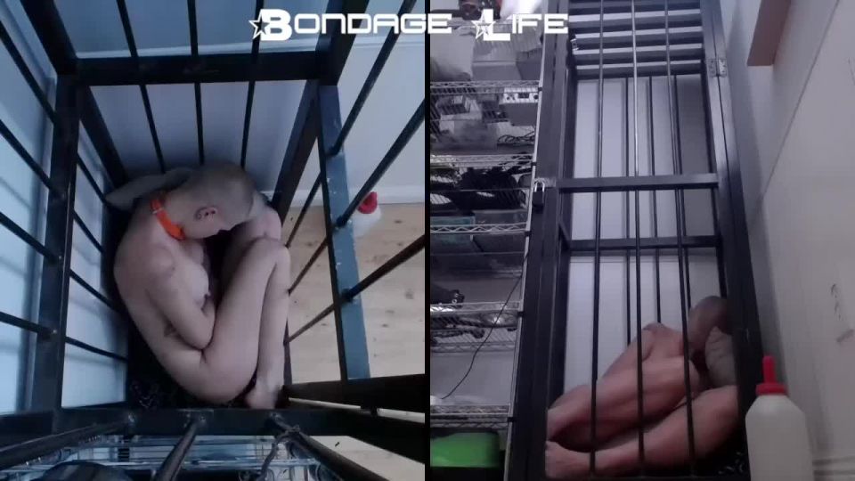 free online video 5 femdom caning BondageLife – Restless Storage Rachel Greyhound, bdsm on bdsm porn