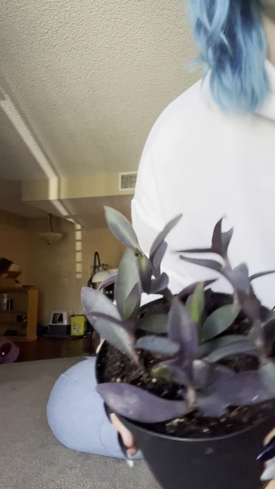 video 18 LusciousxLuci – free – my plants | dirty talking | pov bikini femdom