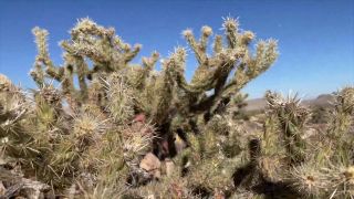 Banging In The Desert Sexy Hiking And Fucking 1080p