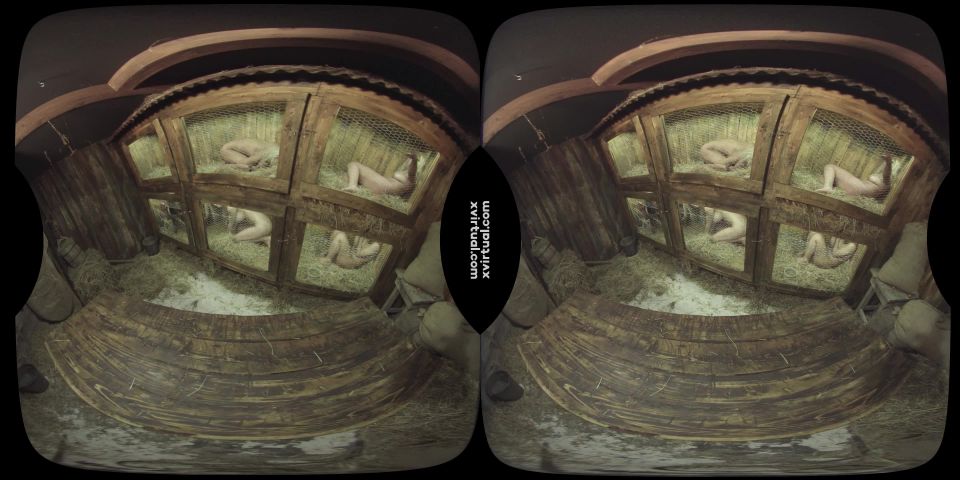 Title Rabbit hutch in 180° 4K - VR