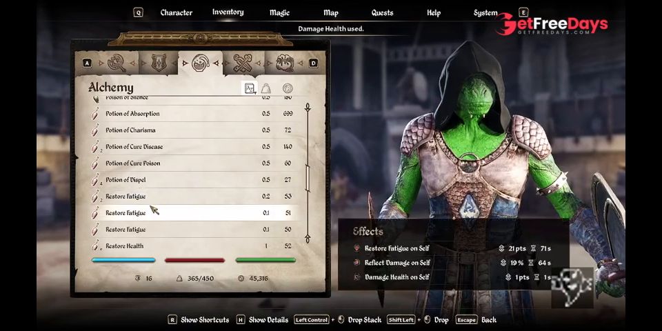 this is what 1000 hours of Oblivion looks like