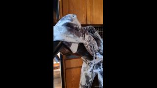 mdollbot 2025-10-01 Ok, pero de vuelta a mí sólo quiero relajarse con usted en hon 5vyfpp