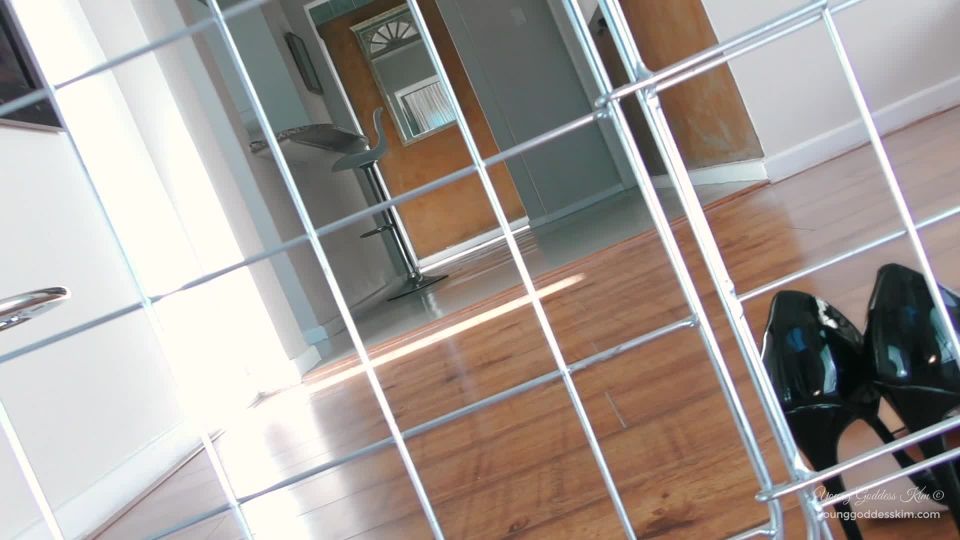 adult video 20 femdom gagged Young Goddess Kim - Caged Foot Bitch, young goddess kim on femdom porn