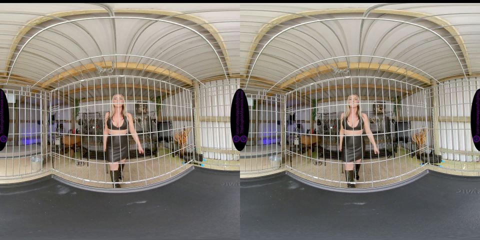 xxx video 8 The English Mansion – Mistress Sidonia – Auction Day – VR | masturbation instructions | fetish porn femdom permanent chastity
