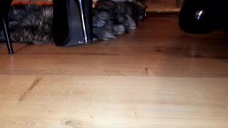 Pornhub.com - Dominatrix Nika - Siterip - K2S - Free Porn Streams - Ver o Descargar El esclavo adora las piernas en zapatos puntiagudos zapatos fetichistas los esclavos besos y lame los zapatos