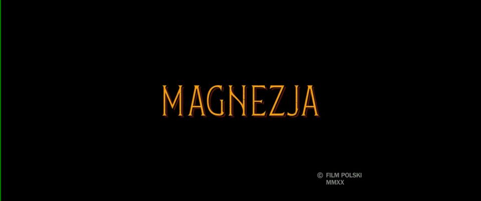 Magdalena Boczarska - Magnezja (2020) HD 1080p - [Celebrity porn]