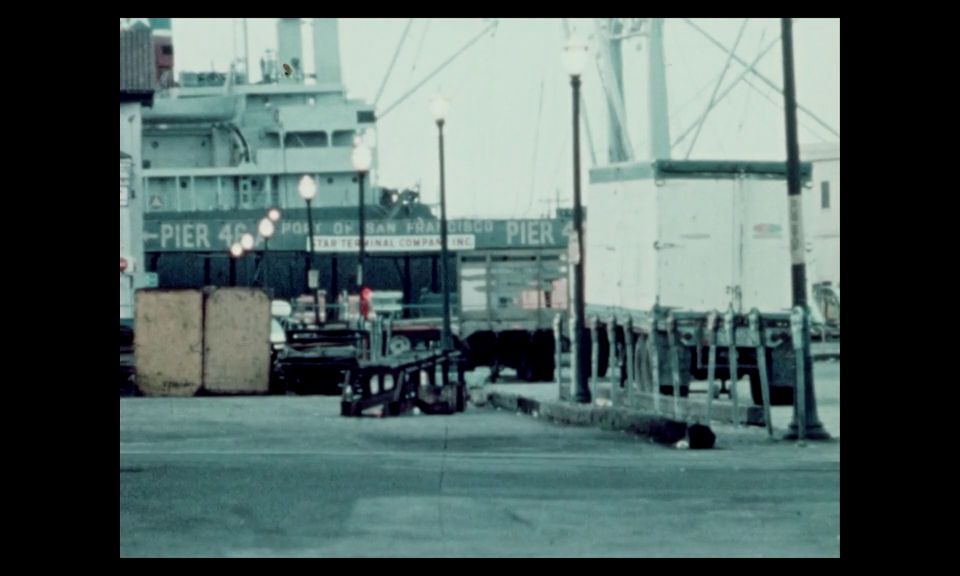 Explore The Life of Nighttime Charm Secrets Revealed