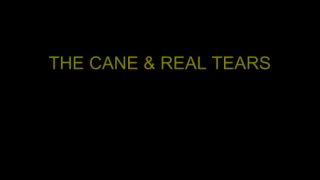 0536 - Abi - Abis Confession The cane real tears.