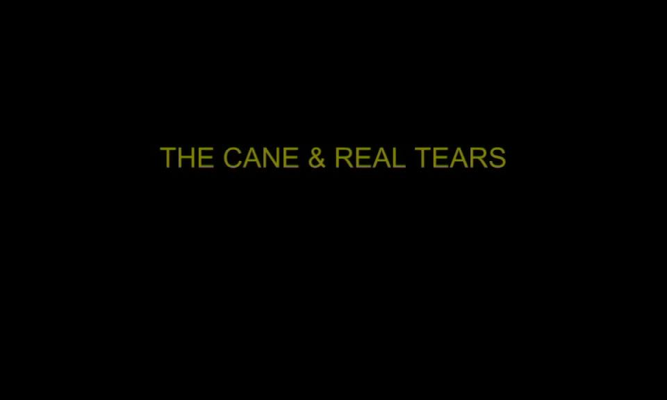 0536 - Abi - Abis Confession The cane real tears.