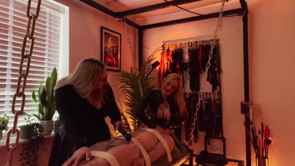 Taintedmaitrise Serie de sesiones Bondage Ordeño (Porno fetiche)