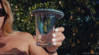 online adult video 26 bdsm group bdsm porn | PRAYING MANTIS | whipping