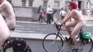 Coccozella-SiteRIP 0115-lg-wnbr-2007-4