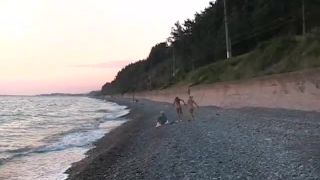 Galitsin News 204   Wild Beach  (mp4)