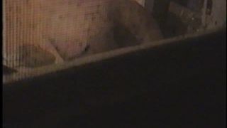 xxx video 18 flyscreen voyeur video - hidden camera - webcam 