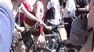 Coccozella-SiteRIP 0098-lg-wnbr2006-2