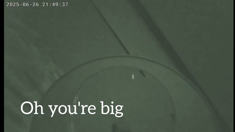 7124 Cuck escucha a su esposa engatusada Duro en el hotel...