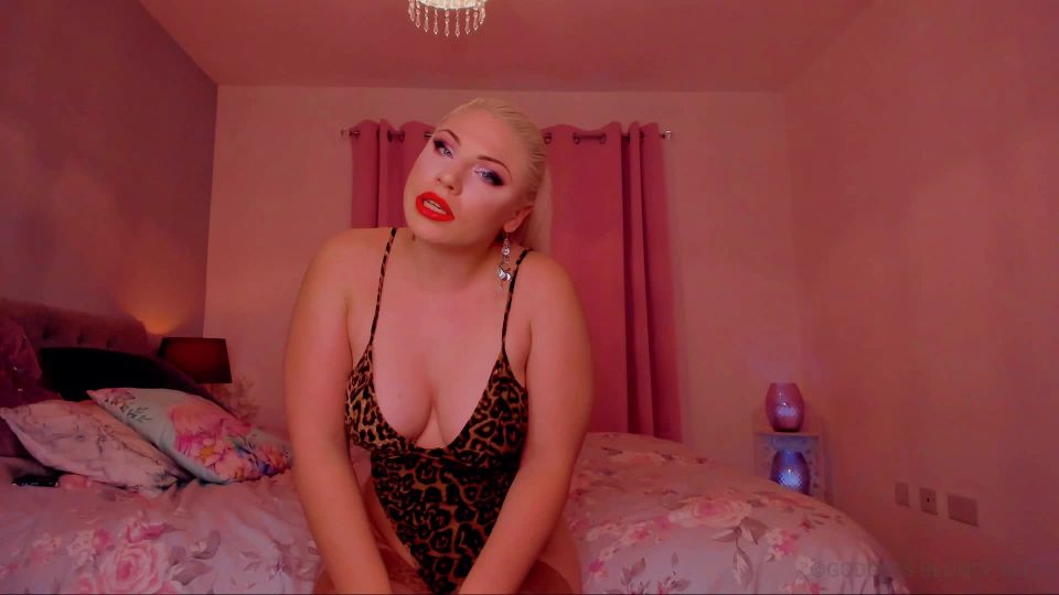 Kittys in Video - Findom Fuckery - Dangerous Curves JOI S...