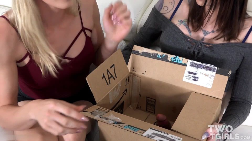 Nikki Vicious & Chelsea ie / Special Delivery With Double...