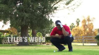 free xxx video 12 Tyler's Wood | capri cavanni | cumshot hentai milf big ass