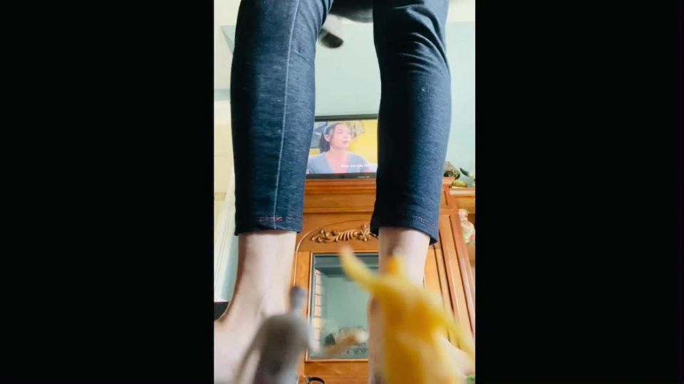 adulto xxx video 33 QueenMotherSoles Encogido Hijo - fetiche - fetiche porno úvula fetiche