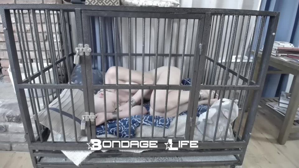 online porn video 18 Bondage Life: Nap Time With Greyhound (Release date: Aug. 25, 2021) Bondage on fetish porn bdsm sex big