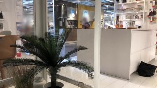 porn video 37 pov porn anal IviRoses Exhibitionist Public Nudity – Risky IKEA anal dildo barefoot, public nudity on toys