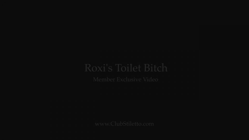 adult xxx video 30 chatzy femdom fetish porn | Roxi's Toilet Bitch | goddess
