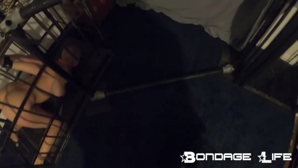 porn video 2 bdsm 24 video fetish porn | BondageLife – The Horse Rachel Greyhound | bondage