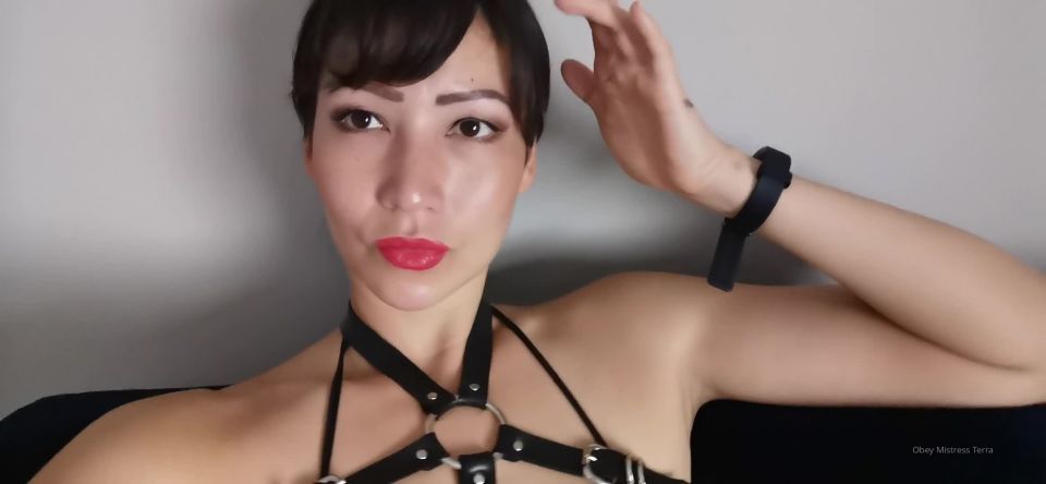 Onlyfans - Mistress Terra - obeymistressterra - obeymistressterraWhos coming on cam today to worship me https - 08-07-2020