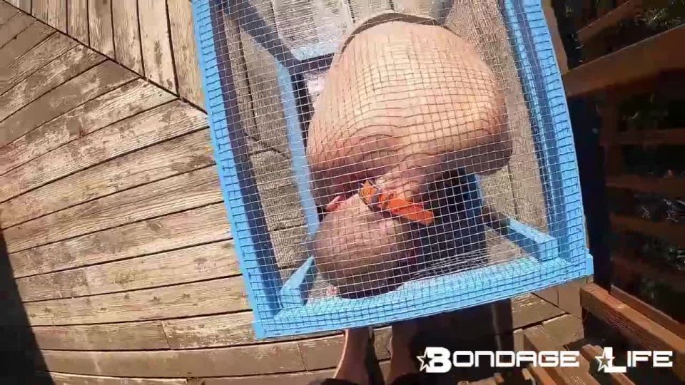 online video 33 Bondage Life – Tiny Cage Rachel Greyhound - bondage - bdsm porn femdom x