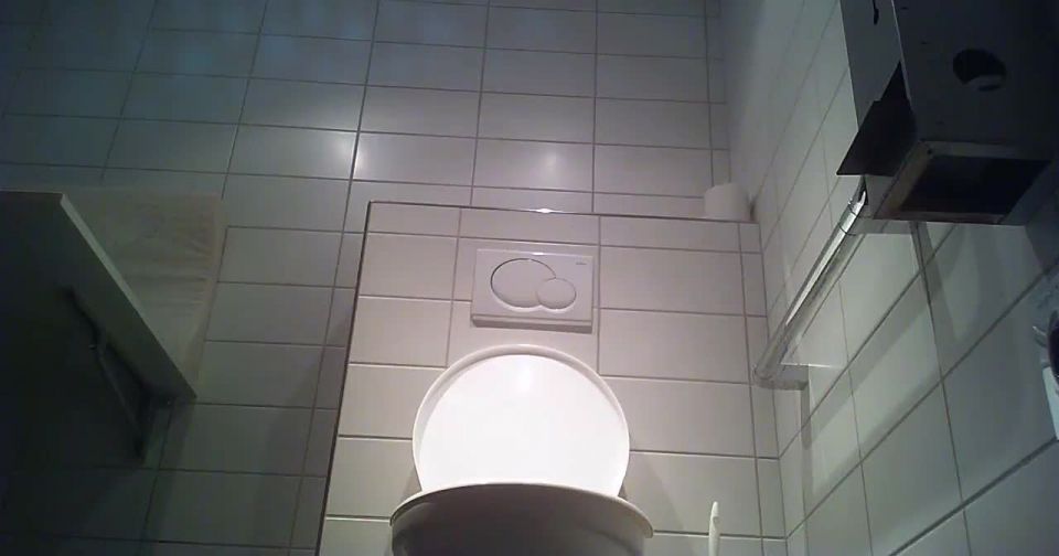 Voyeur - Swiss Toilet 7 - voyeur - voyeur 