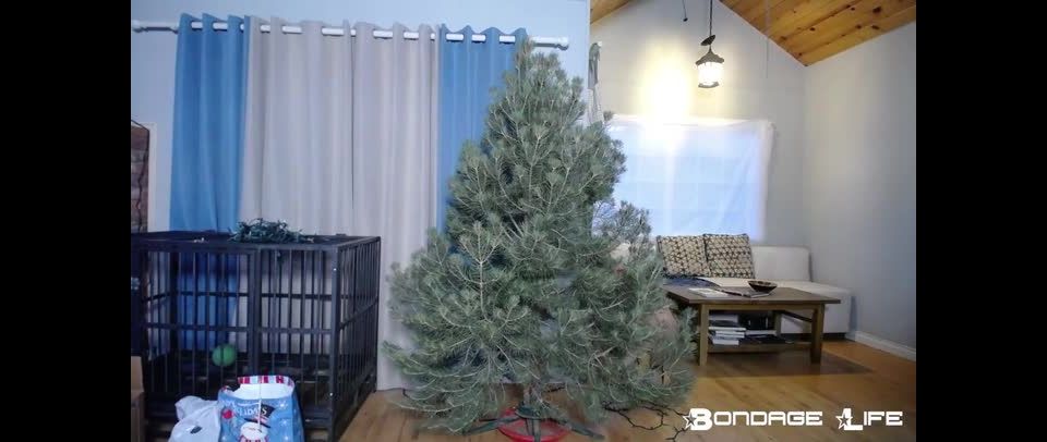 xxx video clip 41 mz berlin femdom fetish porn | Bondage Life – Christmas With Greyhound – Rachel Greyhound | rachel greyhound
