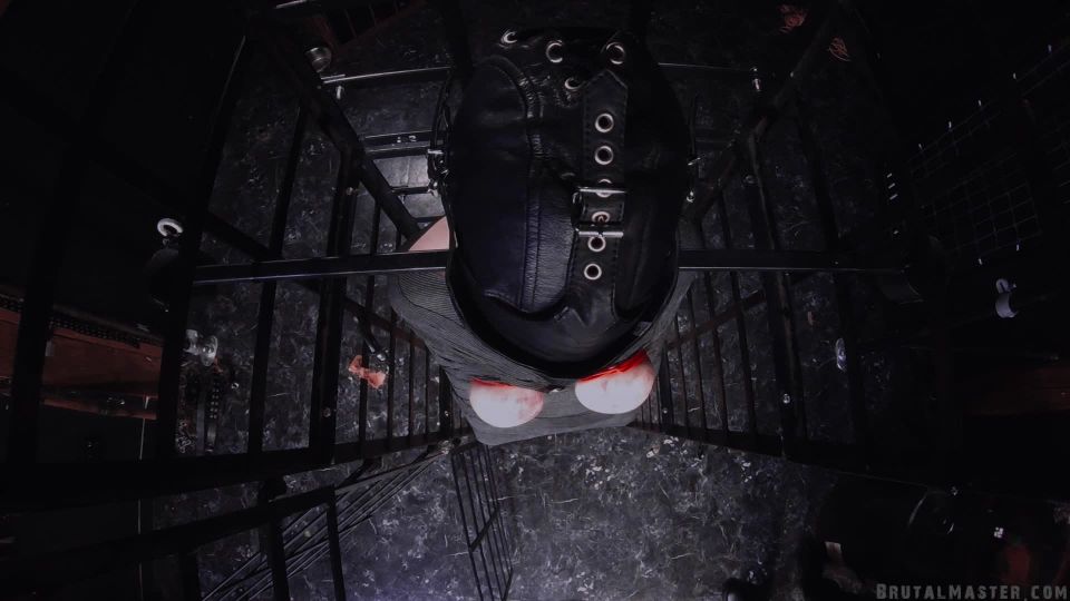 online adult clip 20 It Gimped Caged and Tit Clamped Agony on bdsm porn latex mask bdsm porn videos