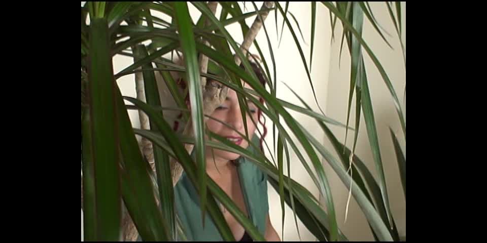 Quality Control CC_StellaGrnHog1