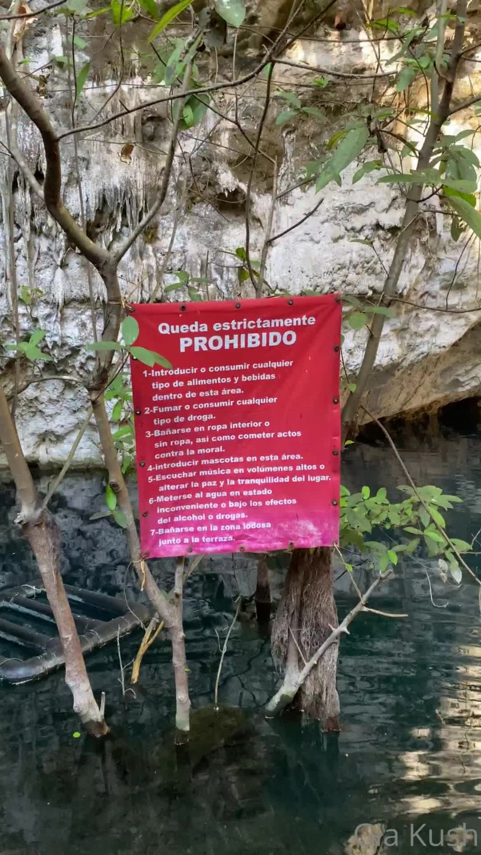 Gia Kush () Giakush - cenoteando y mamando eladminmx https onlyfanscom eladminmx 12-09-2021