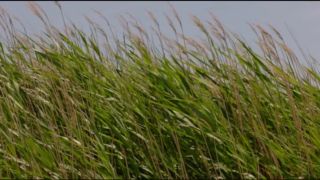 Diane Kruger - Tout nous separe (2017) HD 720p!!!